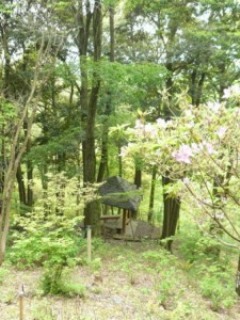 神峰山の森自然園